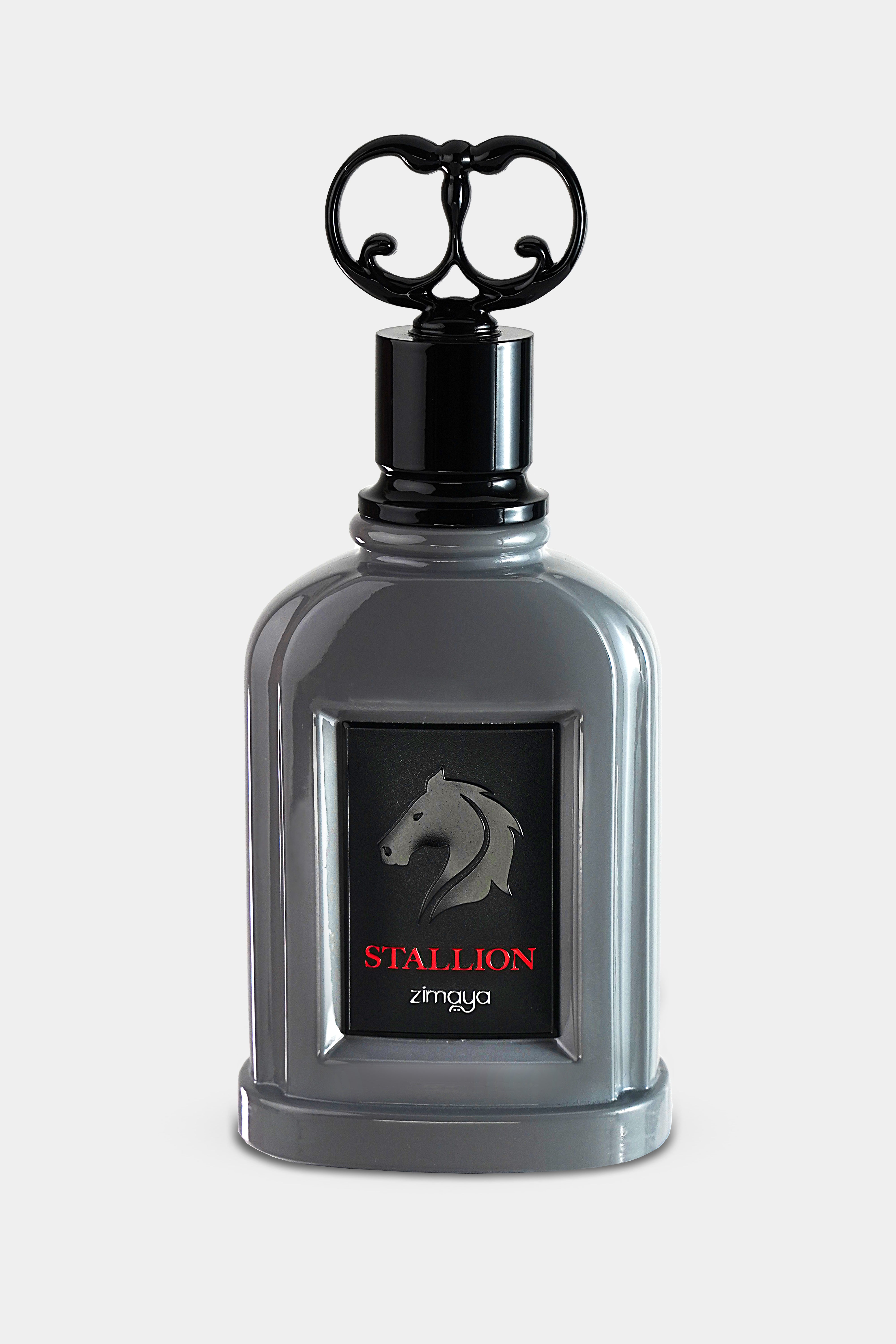 Stallion